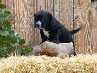 RILEY DES BELLES TRUFFES 