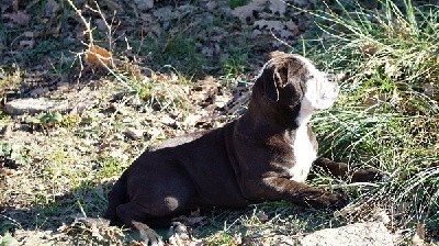 STESSIE DES BELLES TRUFFES