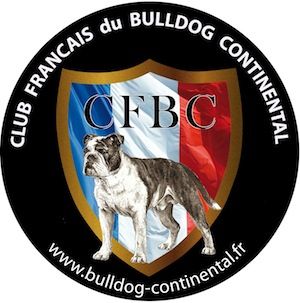 Club Francais du Bulldog Continental