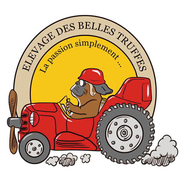 Visitez notre site web